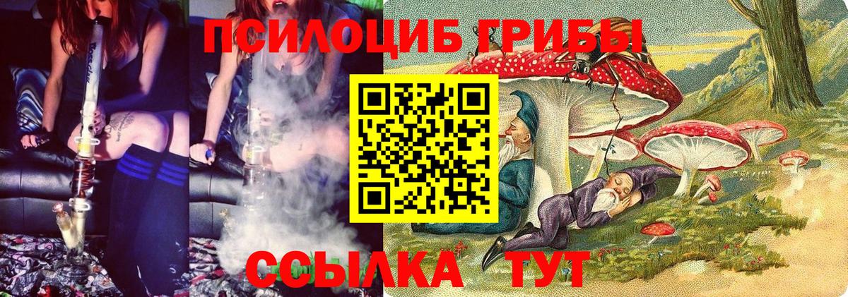 Псилоцибиновые грибы Cubensis  Вход с VPN  Иркутск 